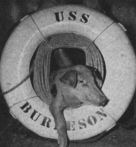 USS Burleson pig